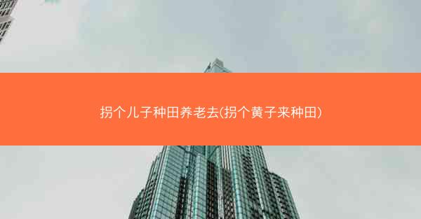 拐个儿子种田养老去(拐个黄子来种田)